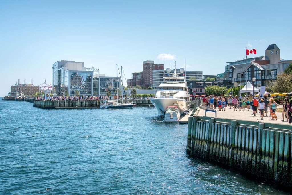 the busy Halifax Waterfront where you can hear the excitement of nature.