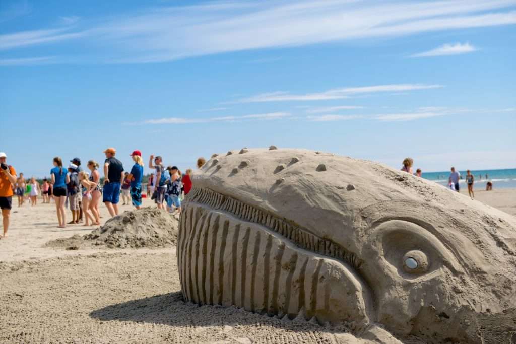 sand dollars and scultptures of one of Nova Scotia's most stunning beaches.
