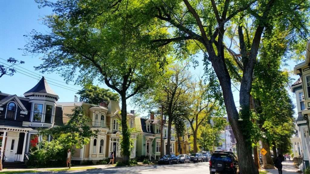 Picturesque South End street near the harbour.