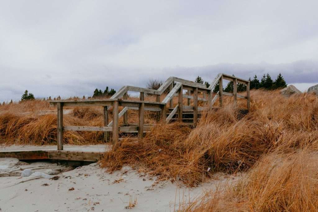 Ocean breeze of Crystal Crescent Beach's main trail.
