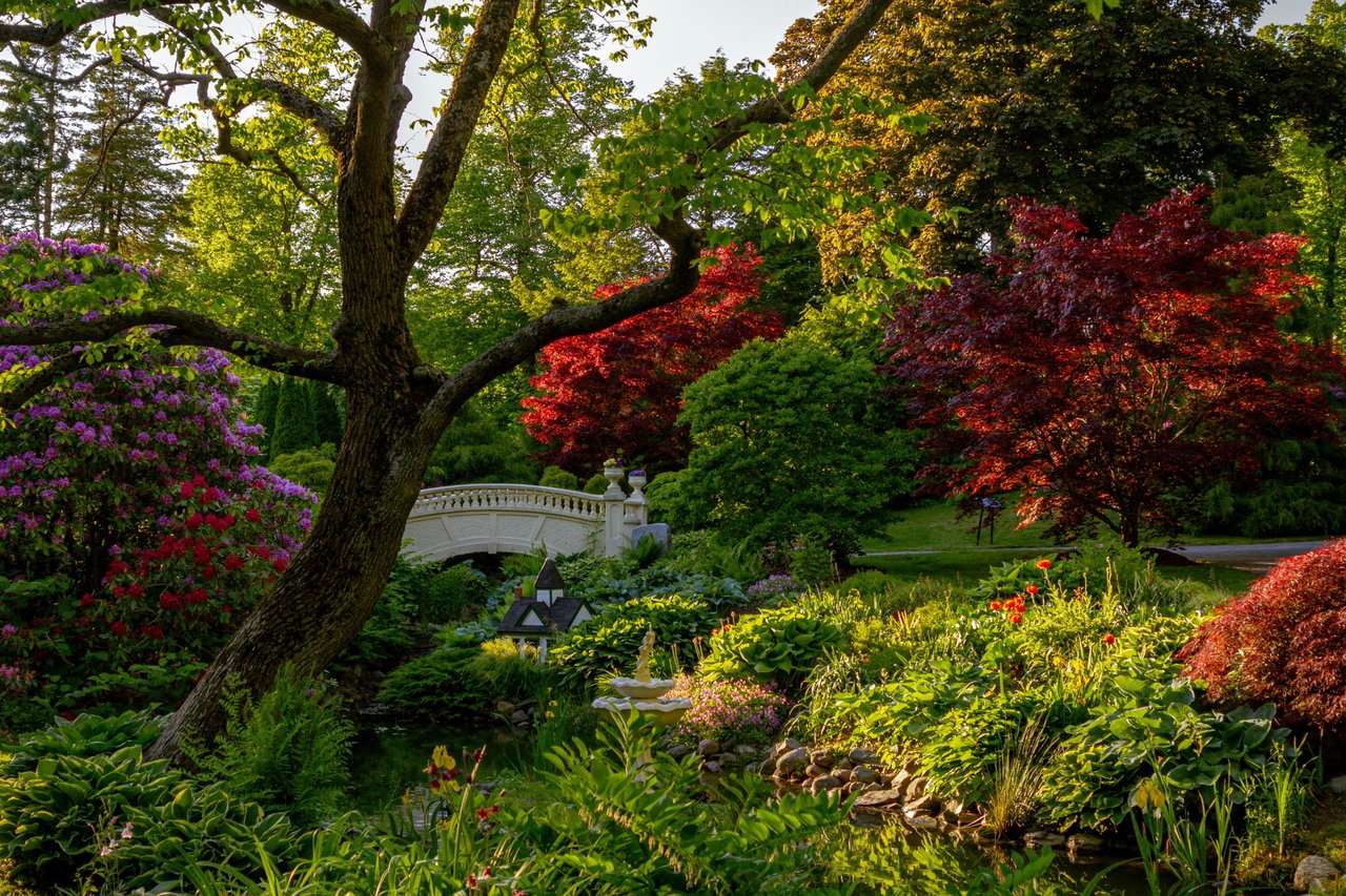 Top 10 Hikes in Halifax for Every Kind of Explorer